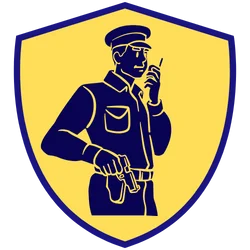 Armed PSO